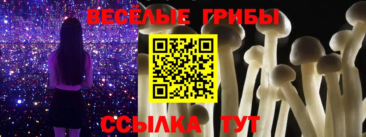 Татарск  Псилоцибиновые грибы мухоморы  Вход с VPN  Псилоцибиновые грибы Psilocybe 